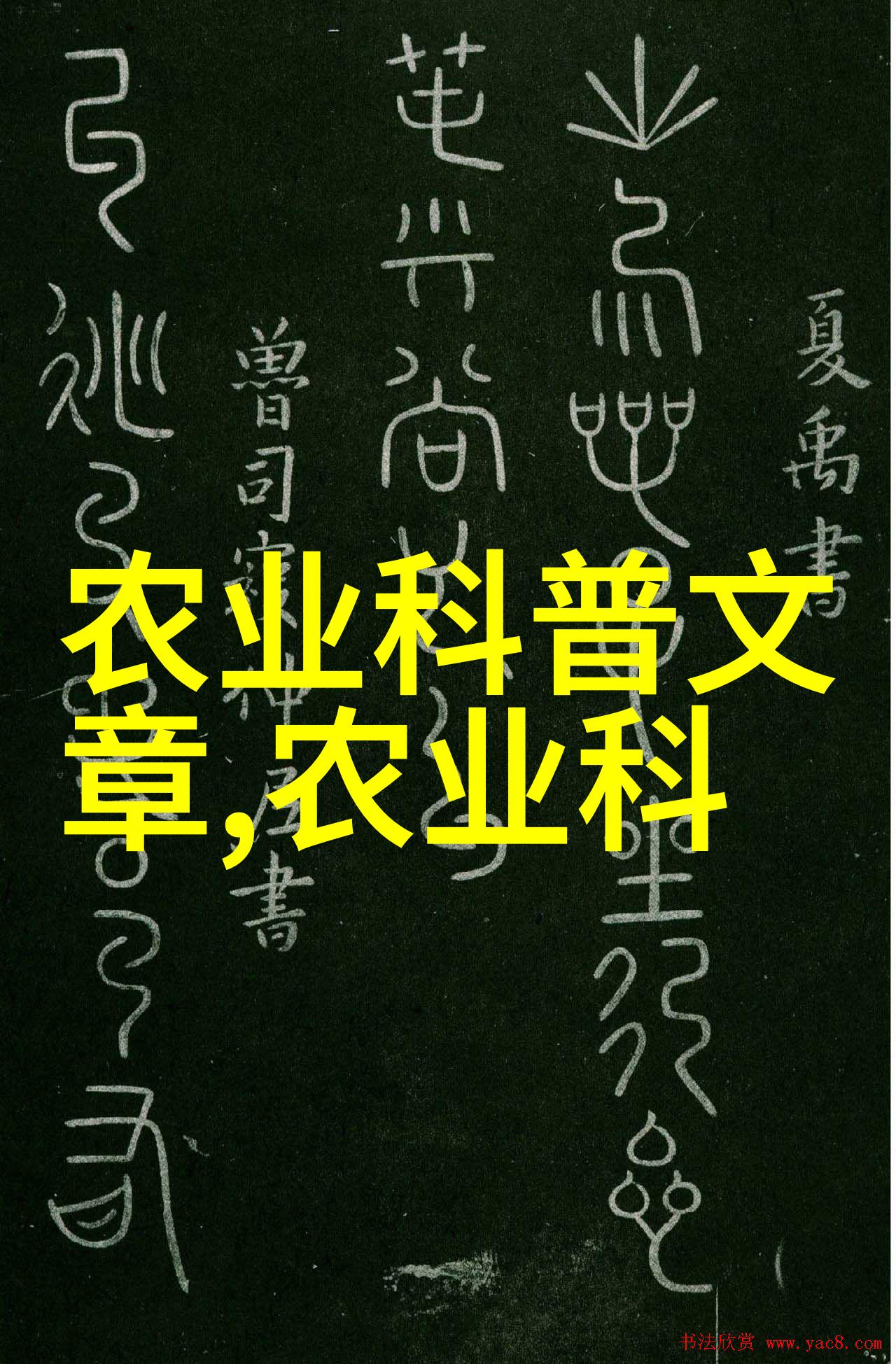 未来食品安全保障未来十年应该重点培育和种植哪些农作物