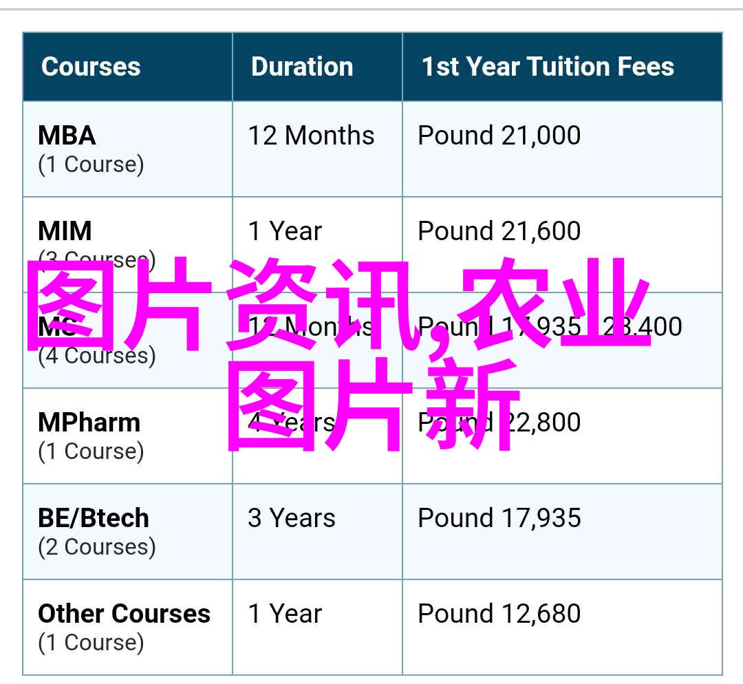 蜂箱养蜂入门指南