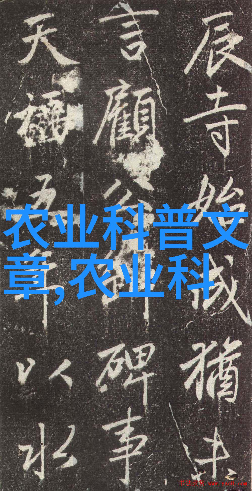 今日缅甸新闻最新消息-缅甸政治局势紧张民众抗议政府新税法