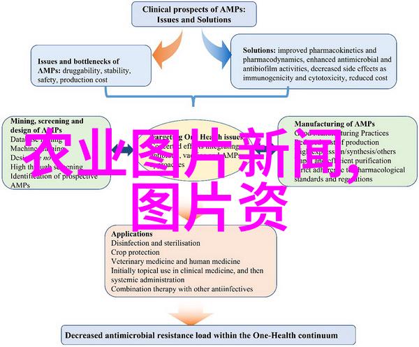 环境友好型泥土鱼类养殖实践案例研究 实施可持续发展战略