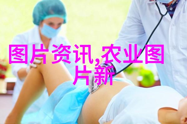 树木价格评估标准的科学评估公司如何准确打分