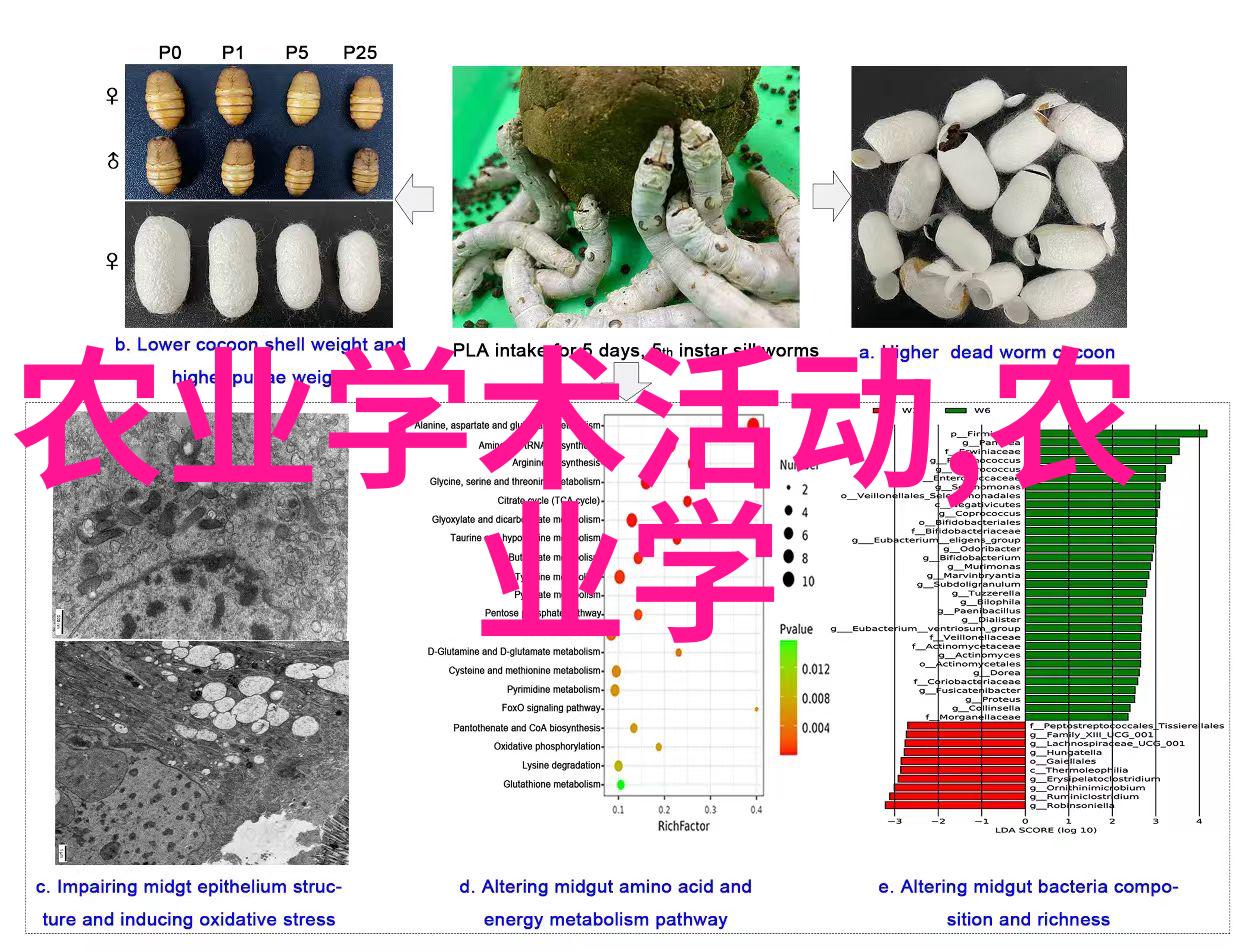 法律知识-解读2021年新法权威指南与实用案例分析