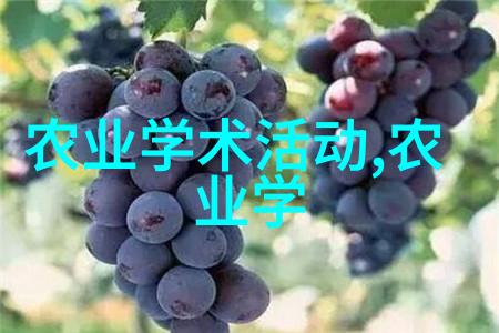 什么是适合拍摄蜜蜂养殖视频的最佳场地