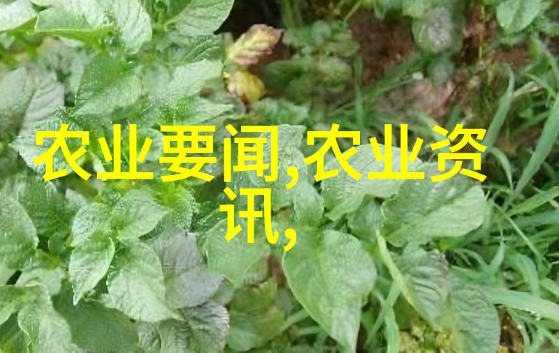 蜂分奇谭一箱变三箱的神秘术法