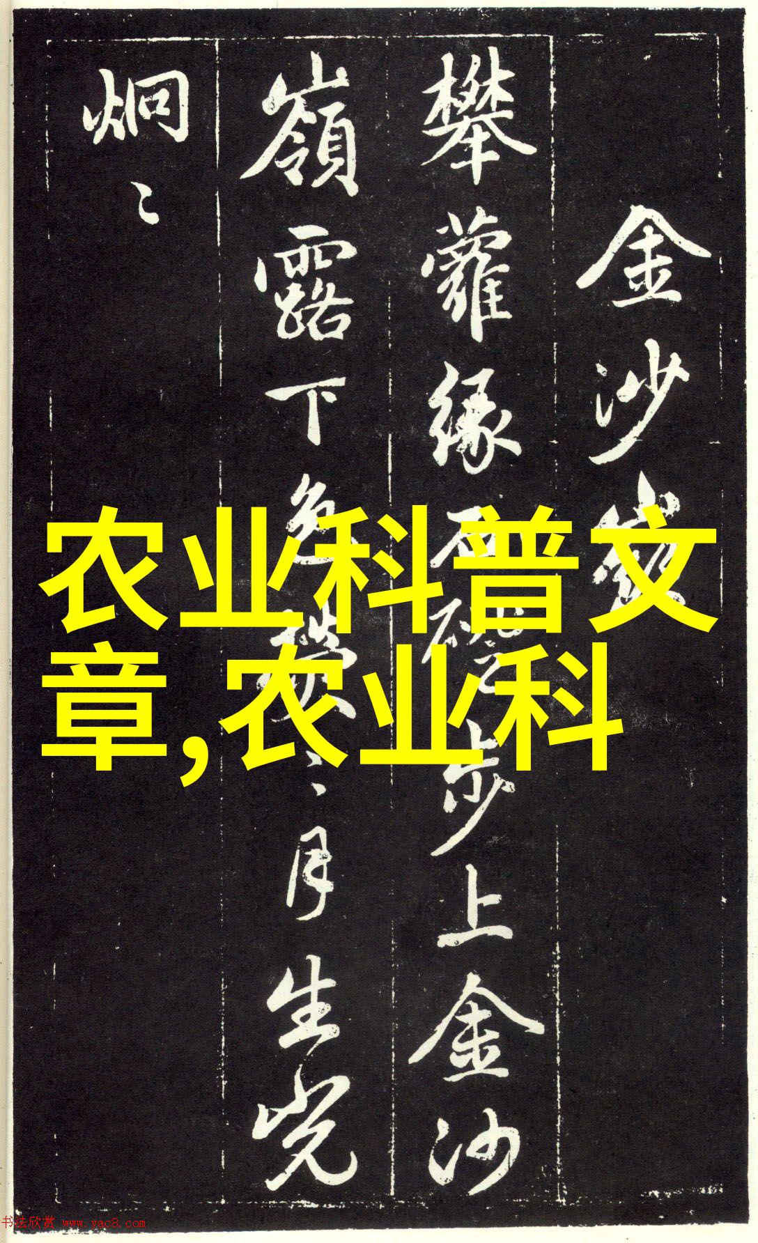 高效养殖技术的实用应用与创新发展