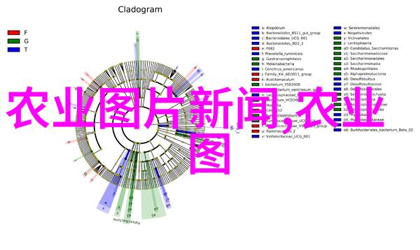 羊腐蹄病在自然场景下的症状与防御结合羊舍建设图片大全的全新视角