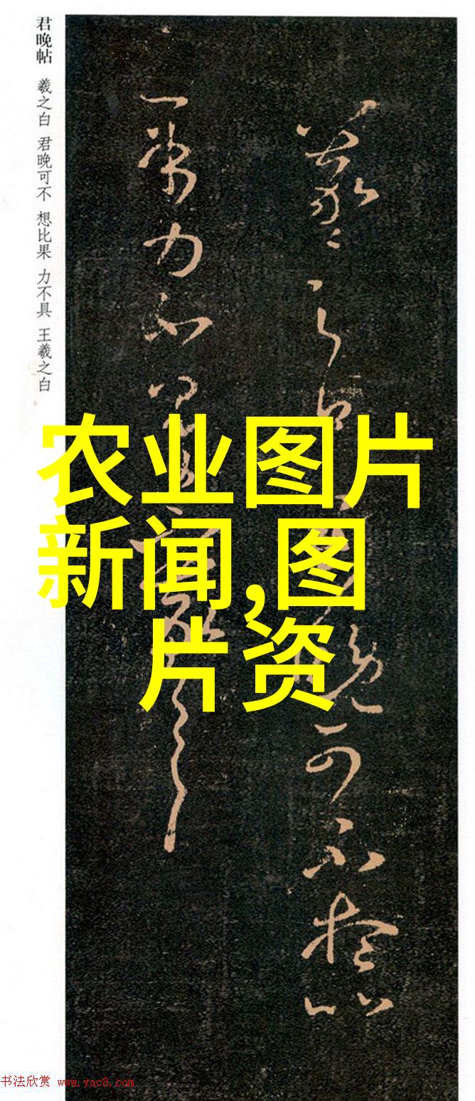 羊舍建设图片大全田园风光农家乐动物保护绿色建筑