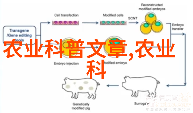 牛羊疫苗接种程序及注意事项有哪些重要方面