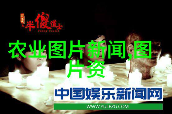 在高安市关于民法典的知识共享之际我们不禁要问江西省大球盖菇高效栽培技术培训和现场观摩会又是怎样一场盛