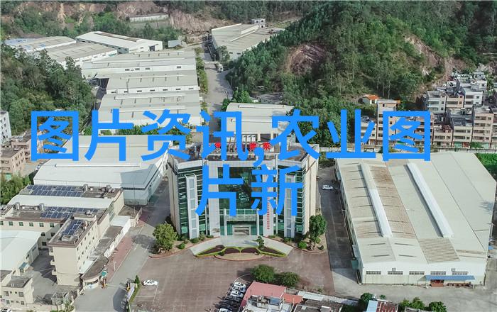 一学就会DIY经济型羊舍搭建教程