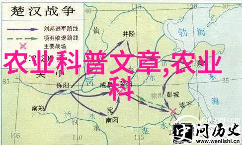 民法典的全面概览法律基础与实践应用