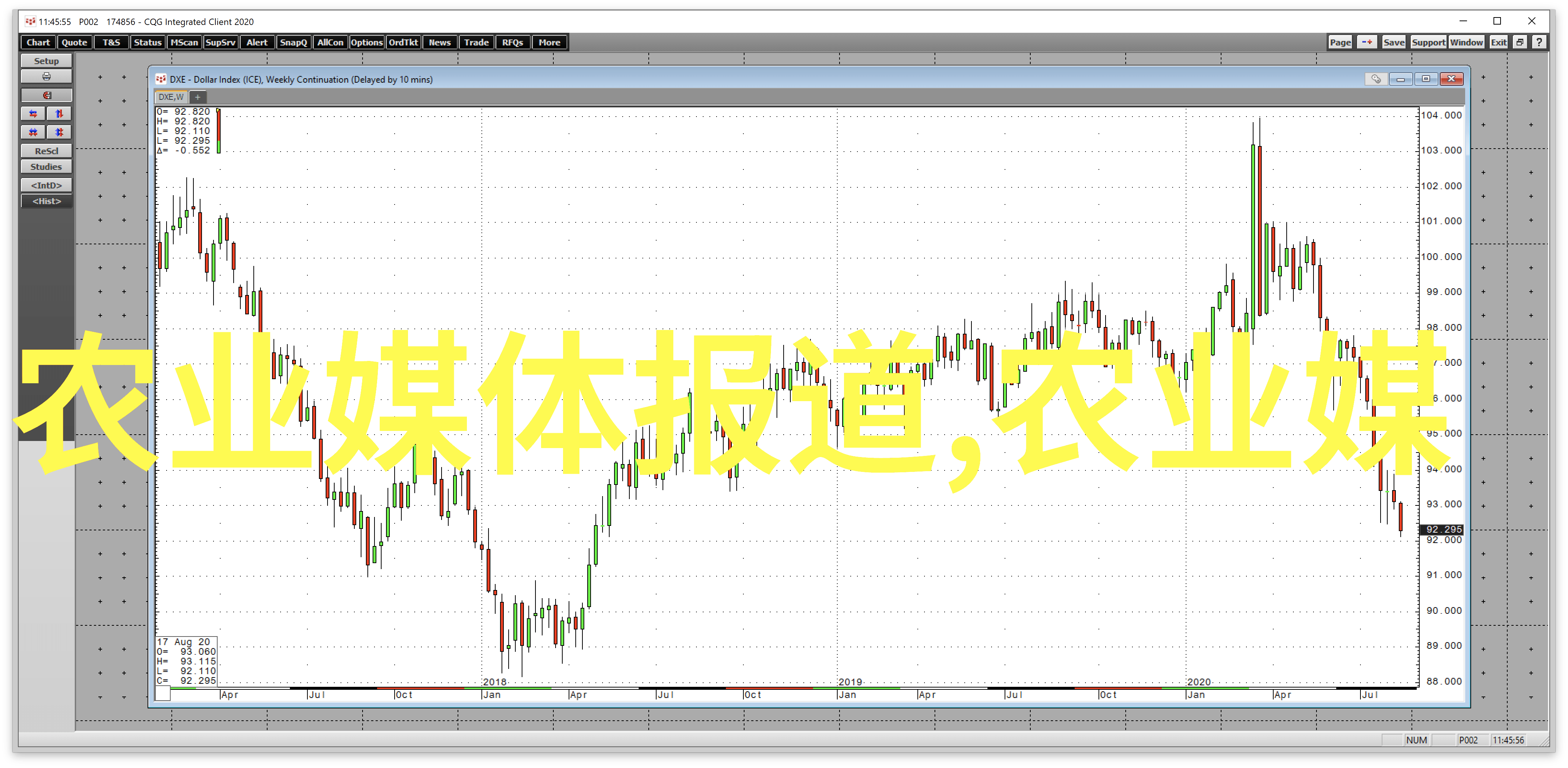 蔬菜种植交流平台共享绿色智慧丰富生活品质