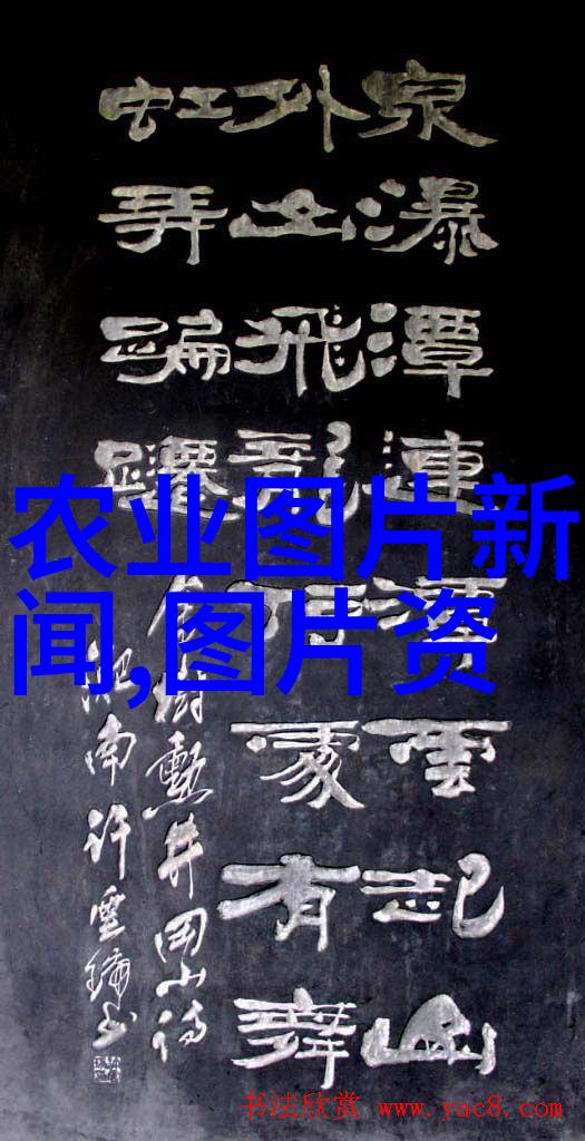 习在庆祝成立70周年大会上发表重要讲话强调 坚定道路自信理论自信制度自信文化自信 继续把人民代表大会