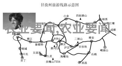 农民出价下降十五公分白蜡竞拍热闹10公分法桐价格受影响