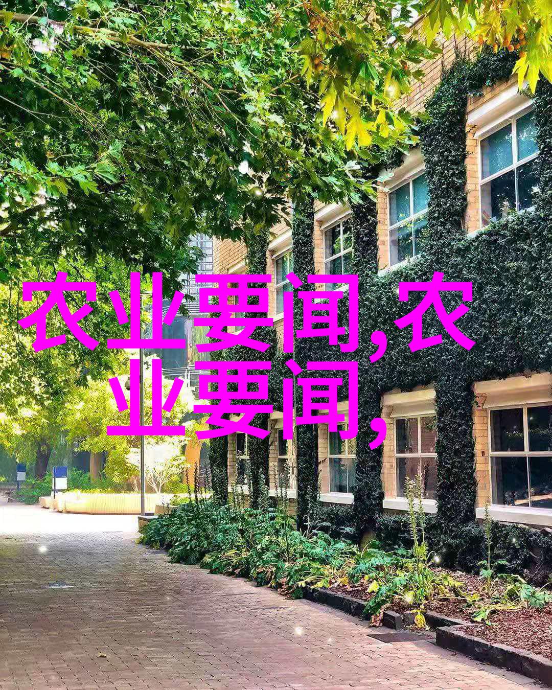 金线莲考古学与经济史的交汇点20000一斤的寓意与历史背景