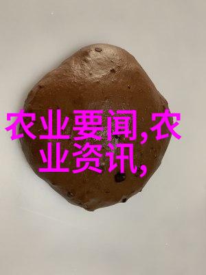 少校的军旅奇遇从训练营到调味品大师