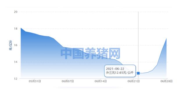 菌类菜谱之谜解锁微生物烹饪的奥秘吗