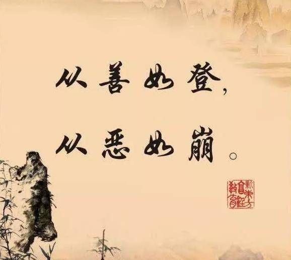 无需管理的果树选择低维护品种的秘诀