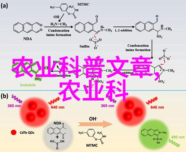 养肥猪的经验和方法-精益求精从饲料到屠宰如何让猪肉更肥美