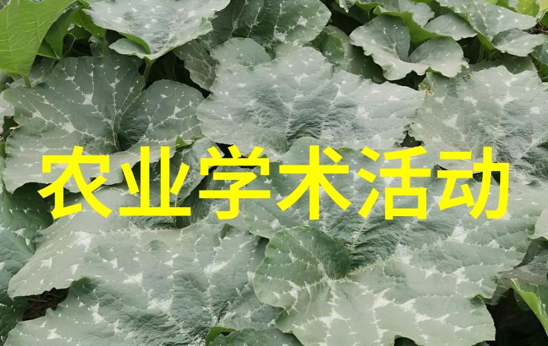 郴州市宜章县天麻种植业的可持续发展模式探究