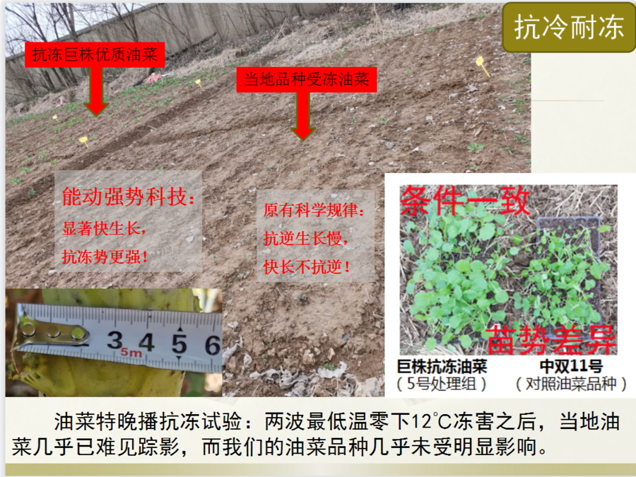 设计和实施这项工程需要多长时间