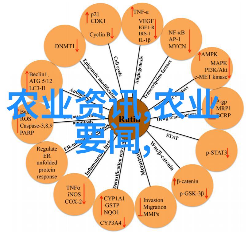 适合女性的茶叶推荐我来告诉你这些超级美味的女孩爱喝的茶