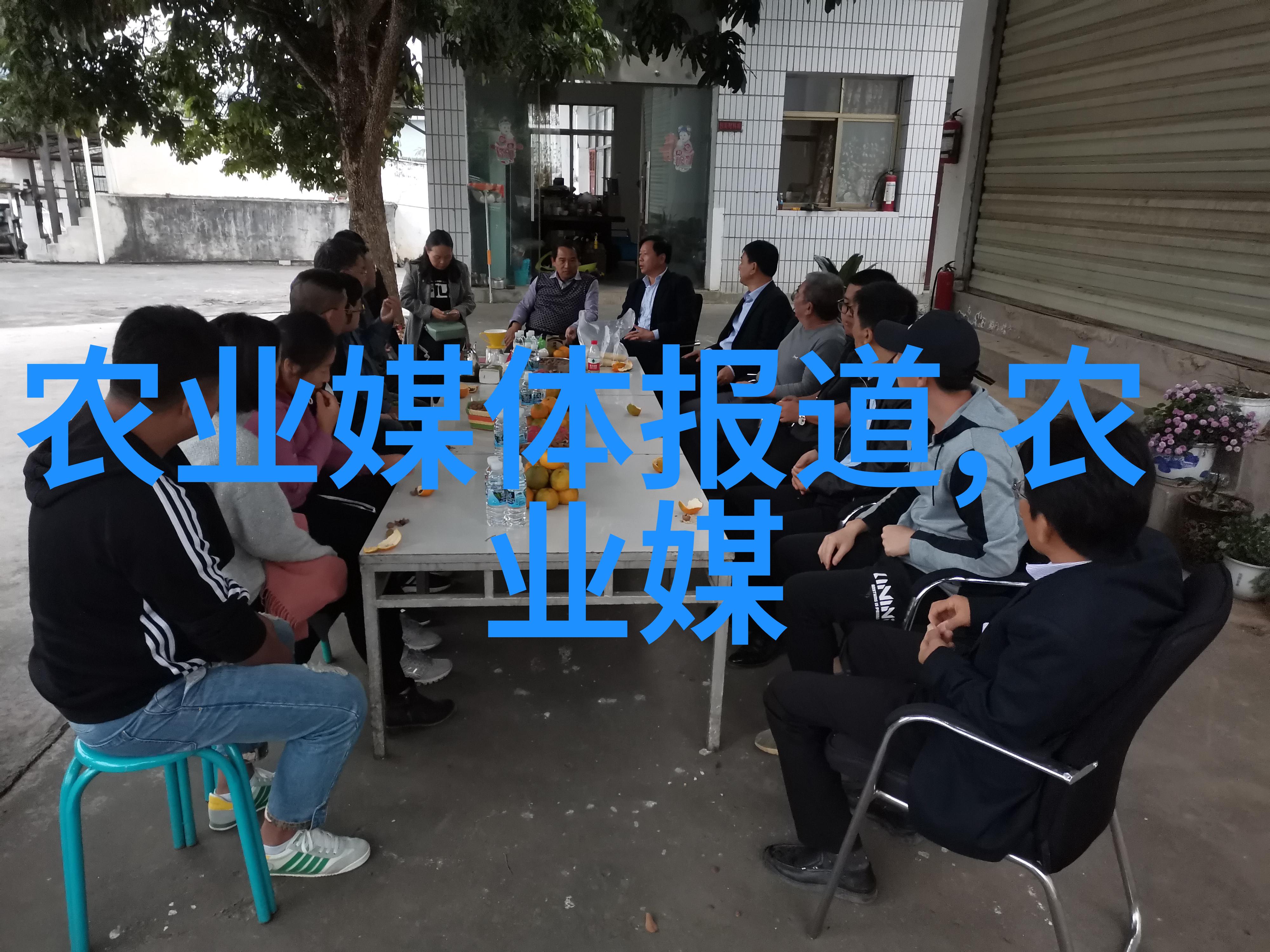 种子播种与嫁接技巧有哪些区别和应用