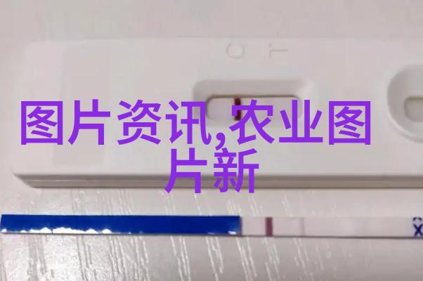 甘南州羊肚菌增收致富新路径法律小常识100条问答解锁金钱道路