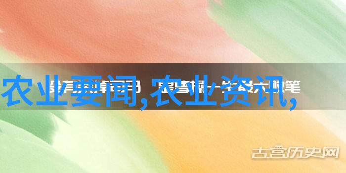 对付异地工作人员新规下如何享受住房公积金支持