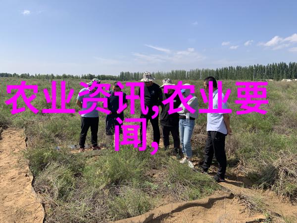 大棚花卉种植技术培训高效栽培方法与现代绿色农业实践