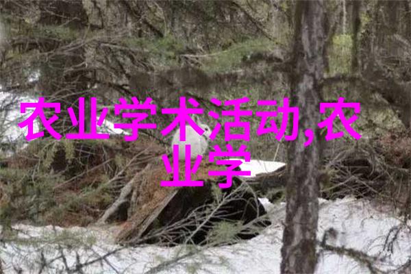 攀峰者他的大手与我内心的风雪