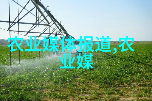 蜜蜂教学视频揭秘民间治巢虫秘方与防治大戏