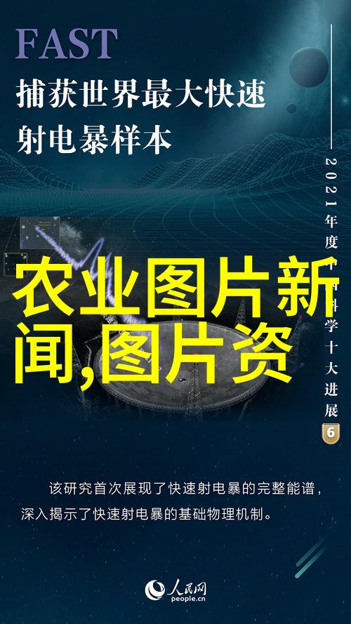 茶树的介绍从种植到品鉴揭秘这颗温和而神奇的果实