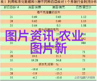 蜜蜂养殖技巧解析从基础到高级的完整指南