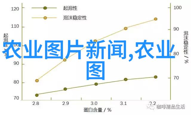 饲喂策略如何为蟾蜍提供均衡营养