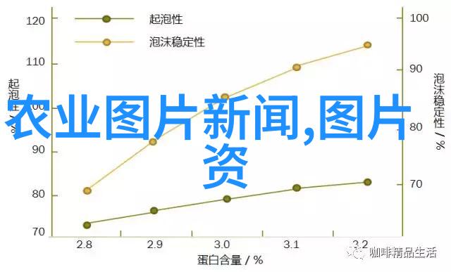 江西珍稀药材种植红花天麻当归