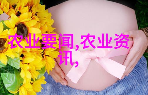 泥鳅黄鳝养殖技术我来教你如何轻松搞定这两种水生好物