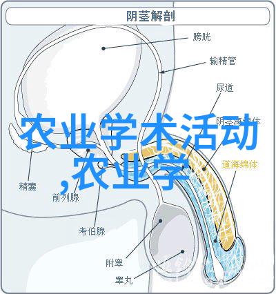 十大养胃茶秘籍让你轻松健康生活