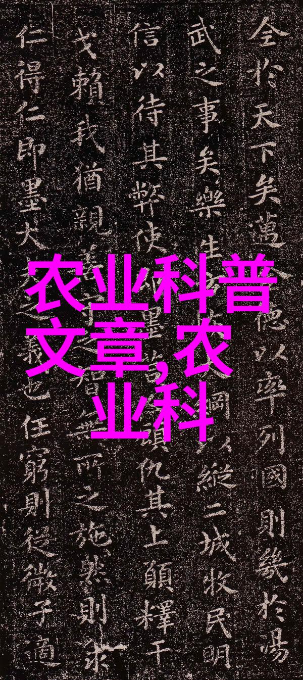 深入浅解新十条精准引领经济社会发展新格局