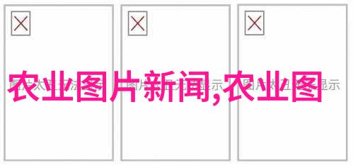 蛆变金揭秘蝇蛆养殖的奇迹与挑战