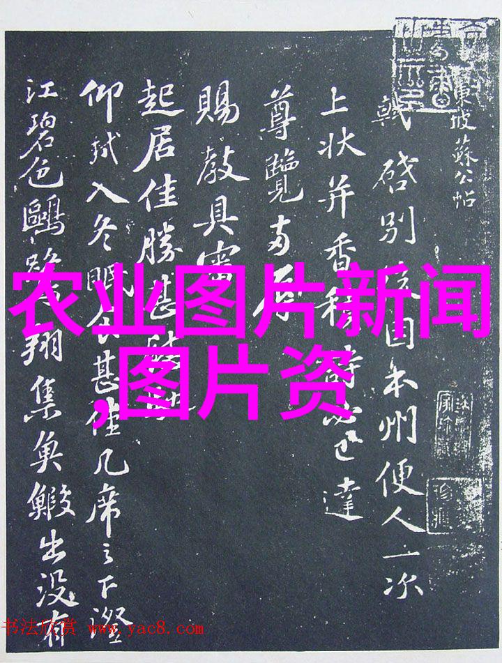 宠物医疗技术的深度提升专升本新途径