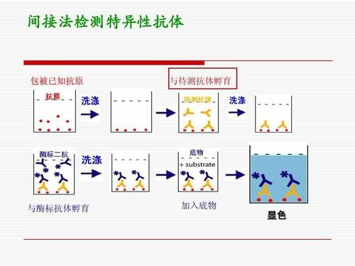 苗木造价信息网我的绿洲一站式解决园艺种植成本难题的秘诀