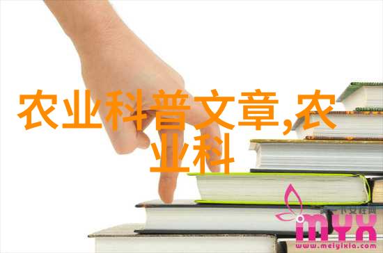 蜜蜂养殖探秘从初学者到专家的一路走来