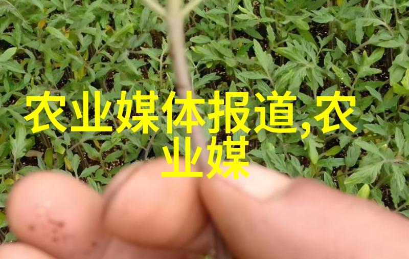 农村智能农业项目智慧种植自动化养殖精准农业管理