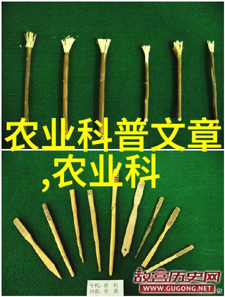 山东黄鳝养殖技术研究与实践探索生态友好型养殖模式的创新应用