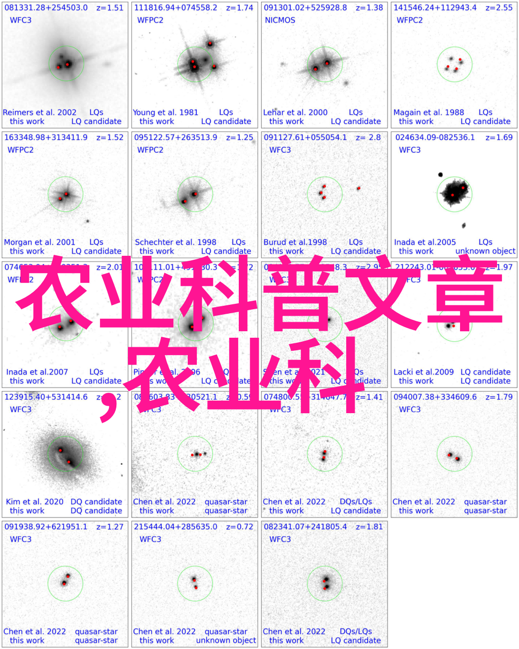 春暖花开的三角梅施以滋养让它绽放更多美丽