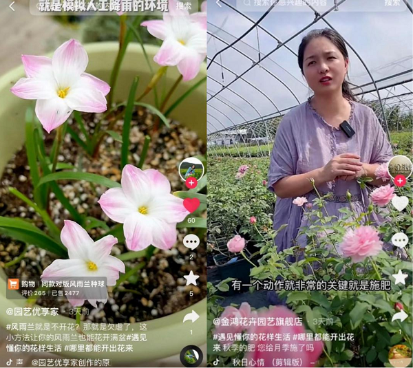 蜂箱内外的花海种植蜜源植物的艺术与科学