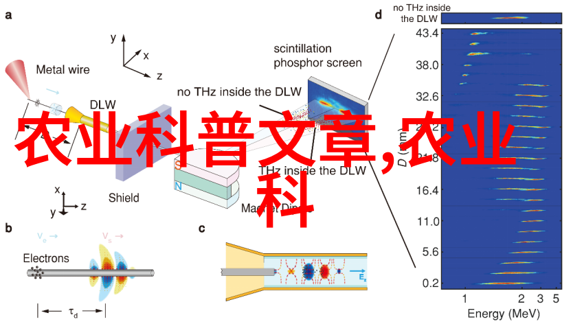 微生物界大新闻新发现的益生菌能显著提高人体免疫力