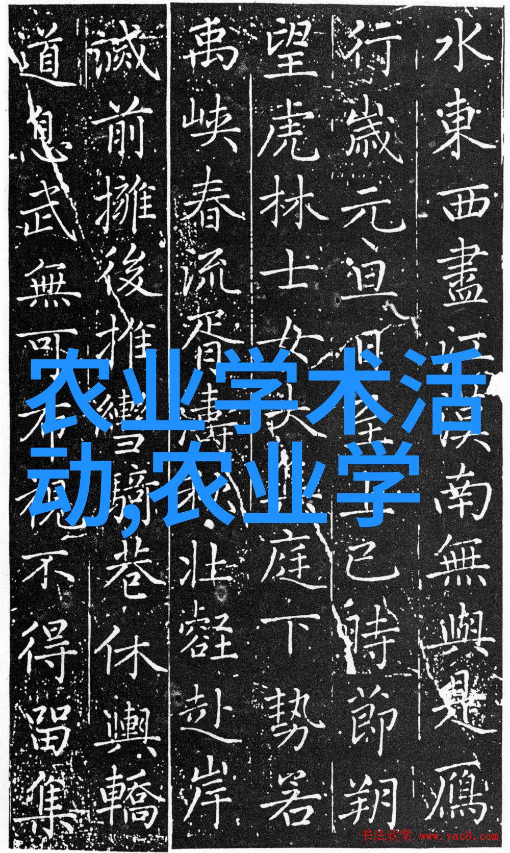 20000一斤金线莲我家祖传的这斤金线莲一年才摘一次值得