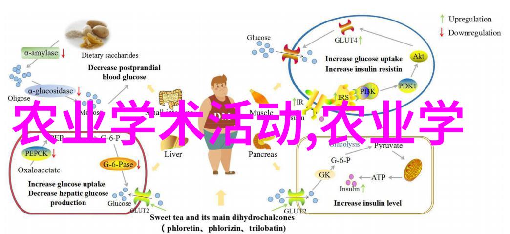 广东中蜂冬春季节管理技术犹如蜜蜂养殖视频素材中的璀璨宝石闪耀着智慧与活力